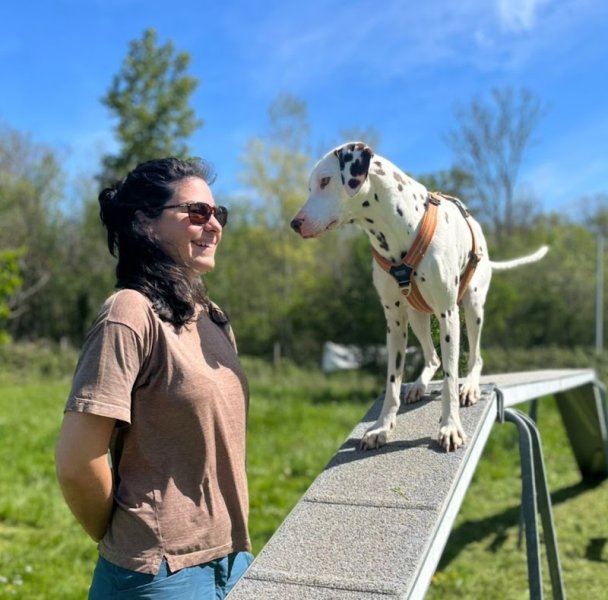 Canisphère- comportement & éducation canine - photo 1