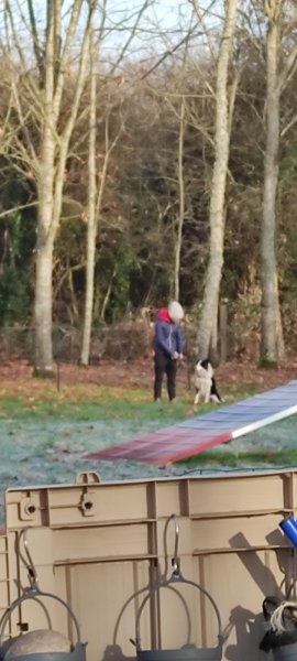 Club Canin Educ Agility Passion Sanvignes ( EAPS) - photo 3