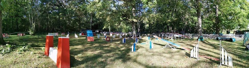 Club d'Education Canine - Agility - École Du Chiot de Chaumes en Brie