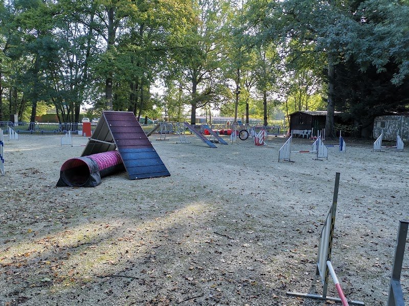 Club d'Education Canine - Agility - École Du Chiot de Chaumes en Brie - photo 2