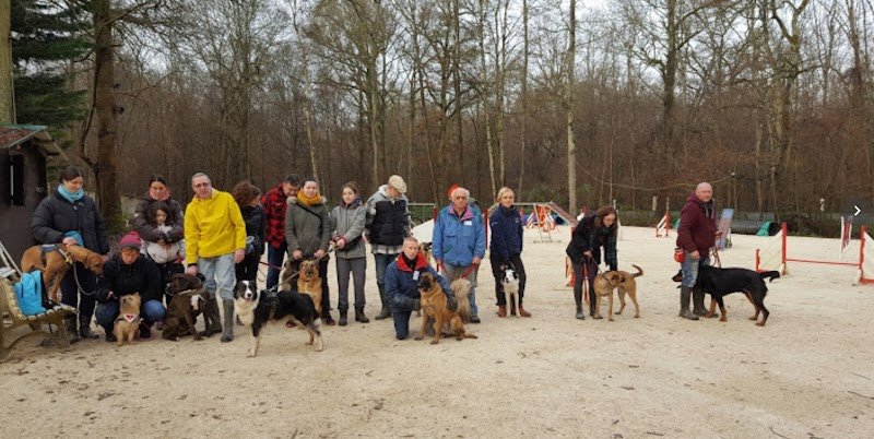 Club d'Education Canine - Agility - École Du Chiot de Chaumes en Brie - photo 3