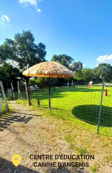 Cani-Team - Education canine et comportementaliste Ancenis - photo 3