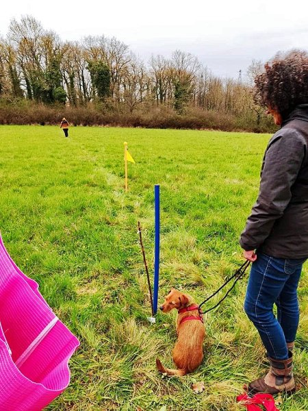 Éducateur canin - L'Essence du chien - photo 3