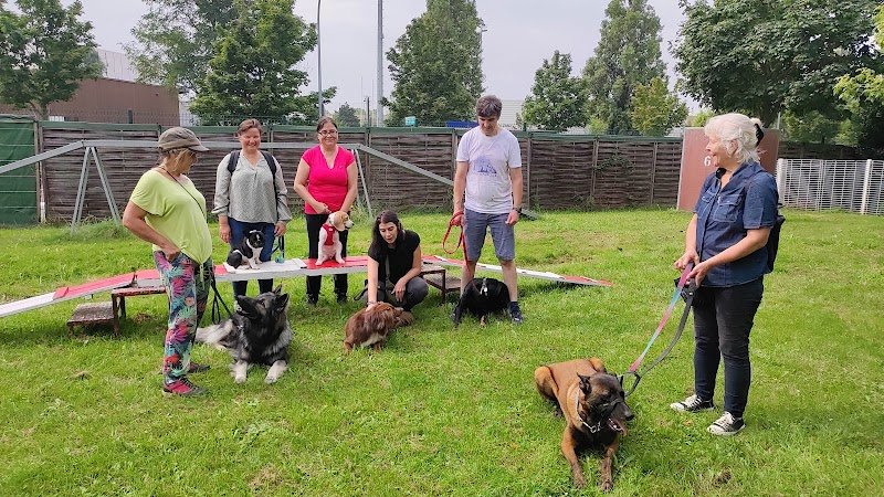 SECCL - Club Canin Chevilly-Larue