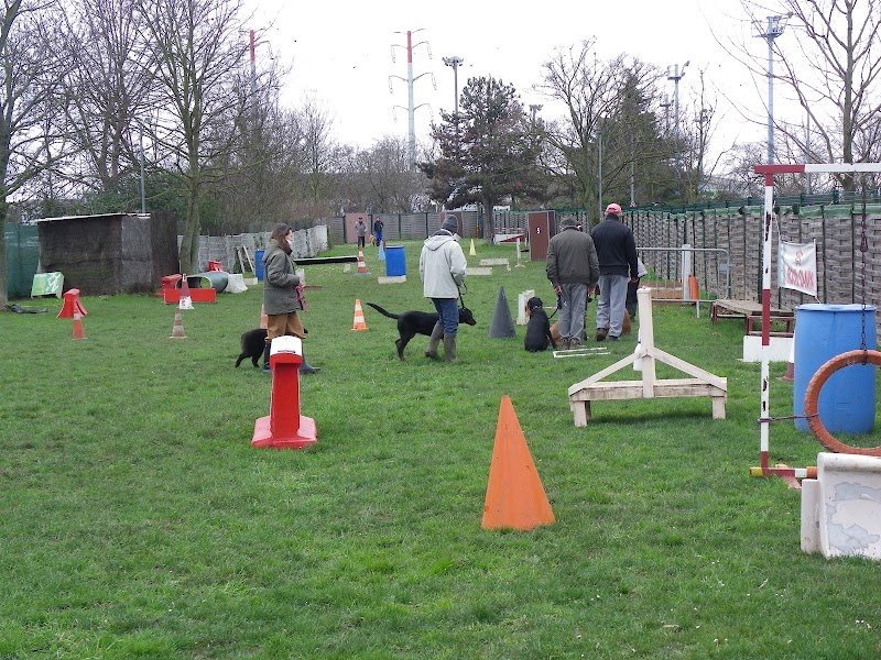 SECCL - Club Canin Chevilly-Larue - photo 3