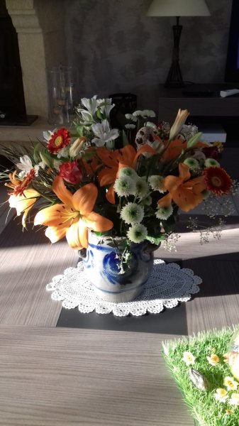 Bestautte Claudine Comportementaliste Amarok-Académie - photo 3