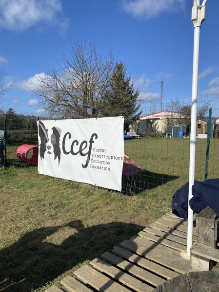 Club canin Team Dog - photo 3