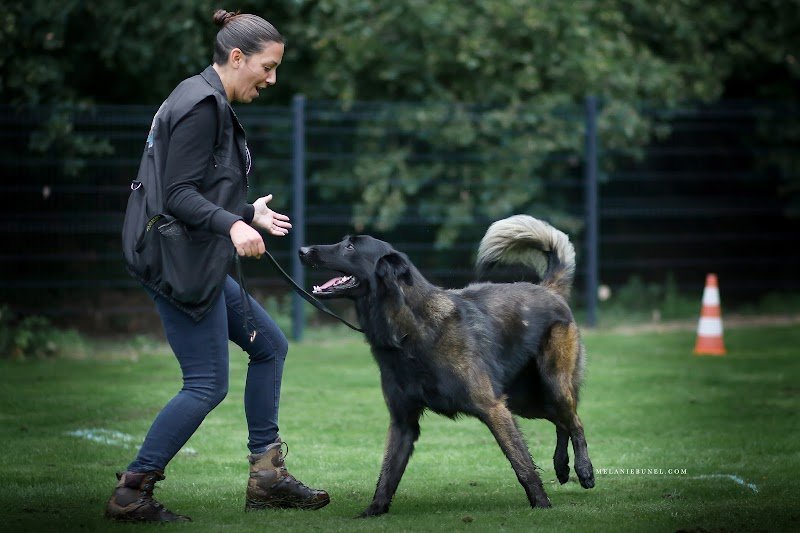 Complexe Canin - Cyno 4