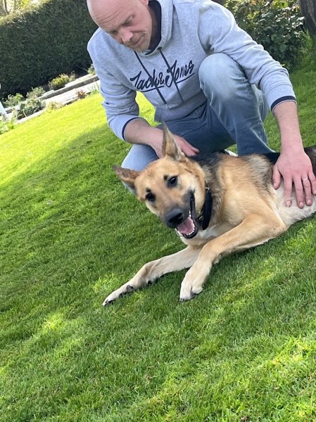 Complexe Canin - Cyno 4 - photo 2