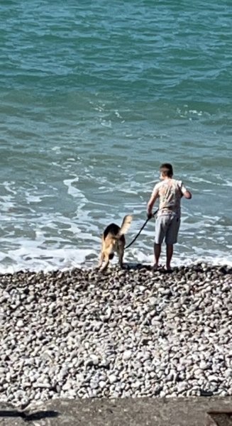 Complexe Canin - Cyno 4 - photo 3