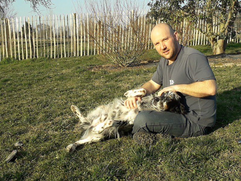 Coach and Dog - photo 2