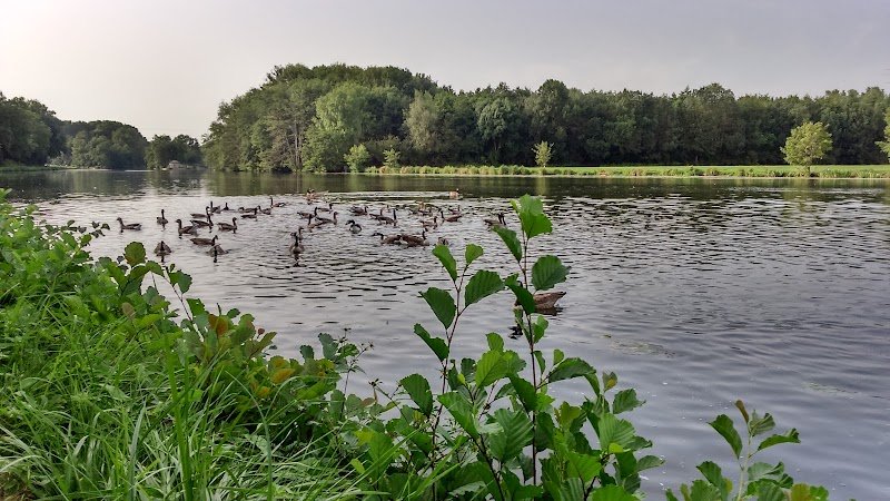 Club Canin Auxerrois - photo 3