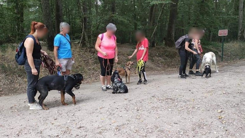 Instincanin - éducateur canin comportementaliste à domicile - photo 2