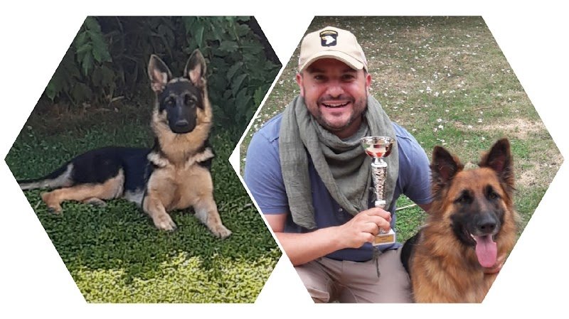 Top Dog Academie (coach et éducateur canin) à Ingré (45) - photo 3