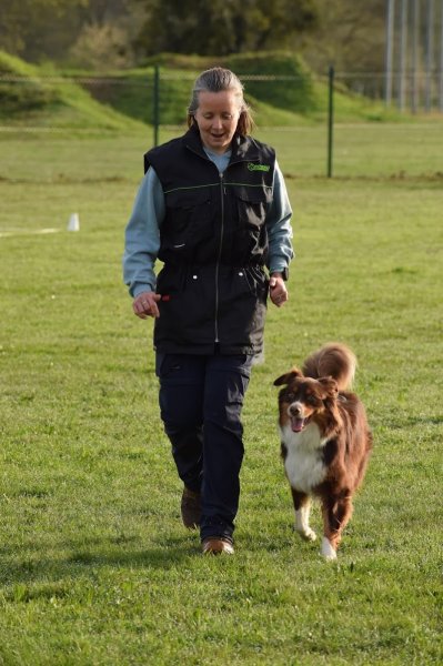 Chiens Obéissants - photo 3