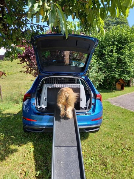 Education canine - Fab et les chiens - photo 3