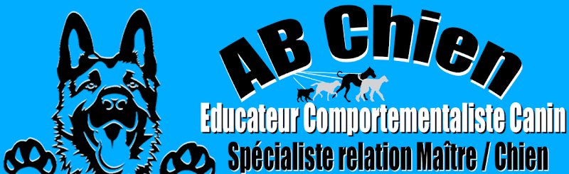 AB Chien - Educateur Comportementaliste Canin - photo 3