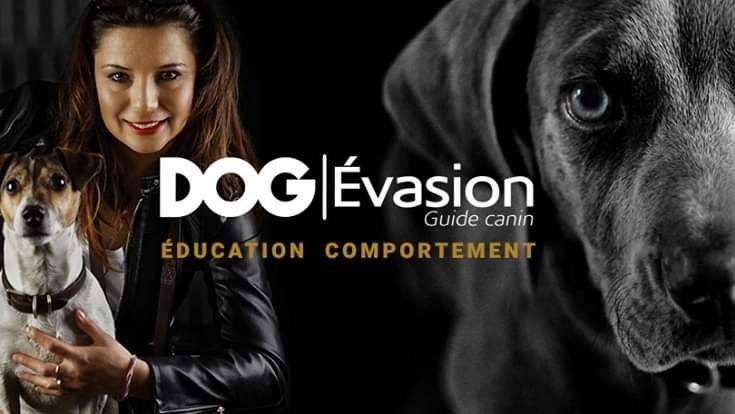 DOG Evasion