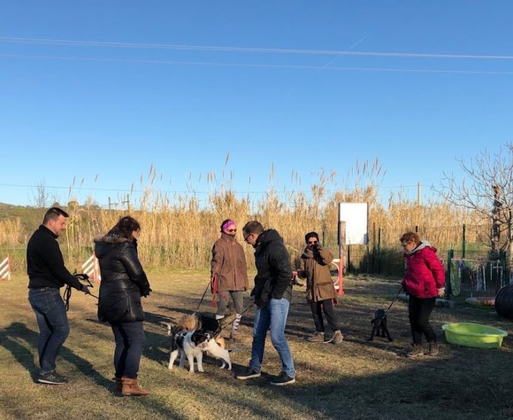 Club Canin Septimanie Éducation Sport Canin - photo 3