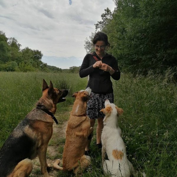 Nelly Gaven - Éducateur canin