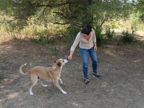 Nelly Gaven - Éducateur canin - photo 3