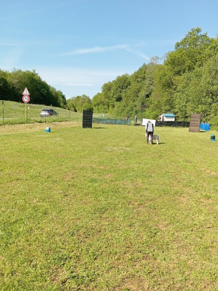 club canin dampierre les bois - photo 1