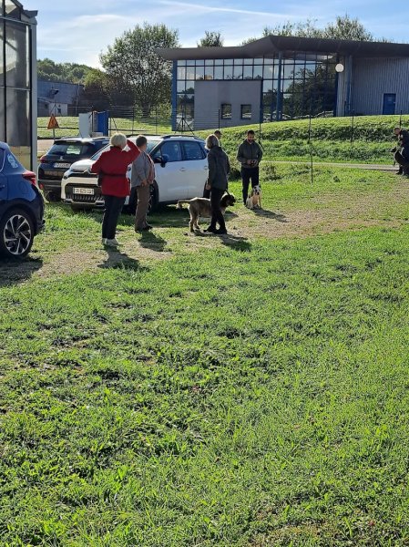 club canin dampierre les bois - photo 2