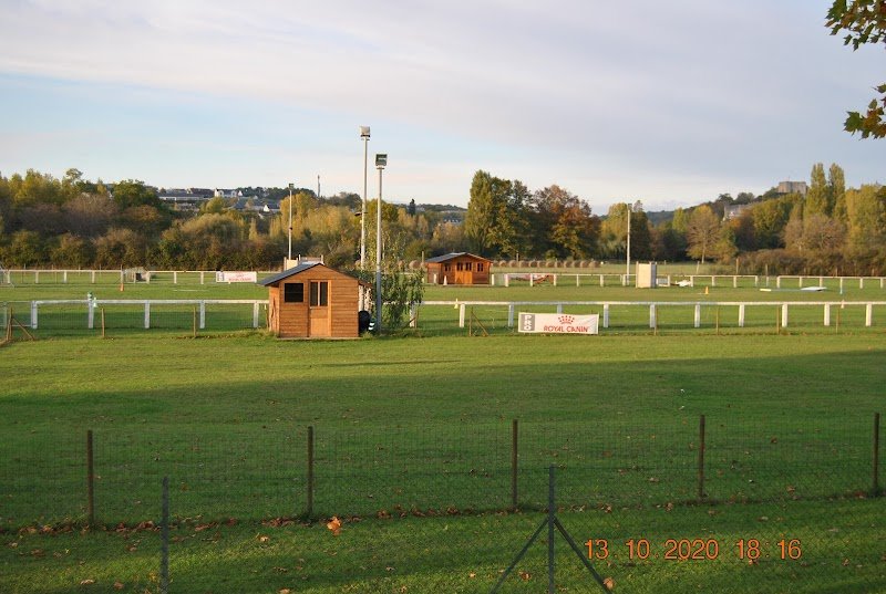 CLUB CANIN FLAIR ET CROCS FAVEROLLES - photo 3