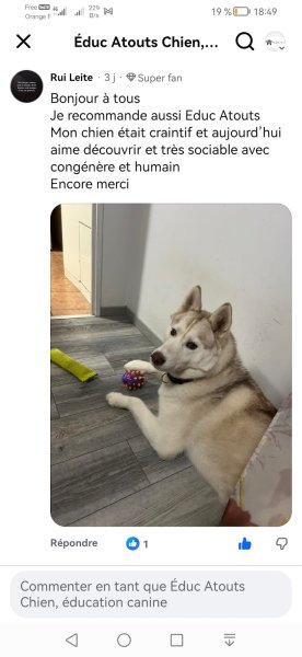 Éduc Atouts chien - photo 2
