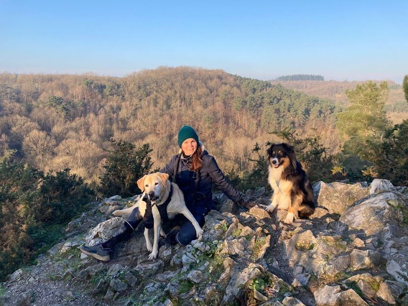 Vie de Chien - photo 1