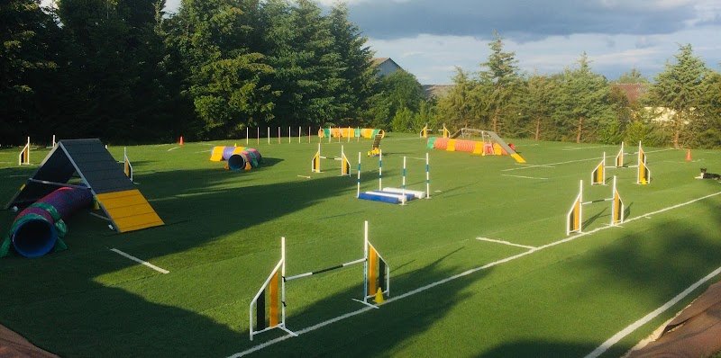 See You Soon Dog - photo 1