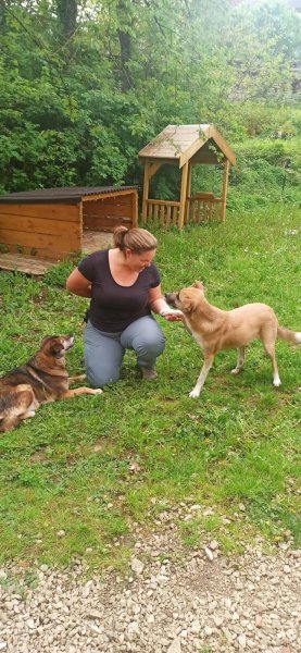 Lucille Pawsitive, éducateur et comportementaliste canin