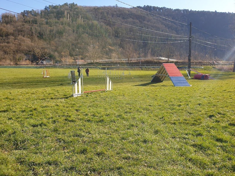 Besançon Club Canin - photo 1