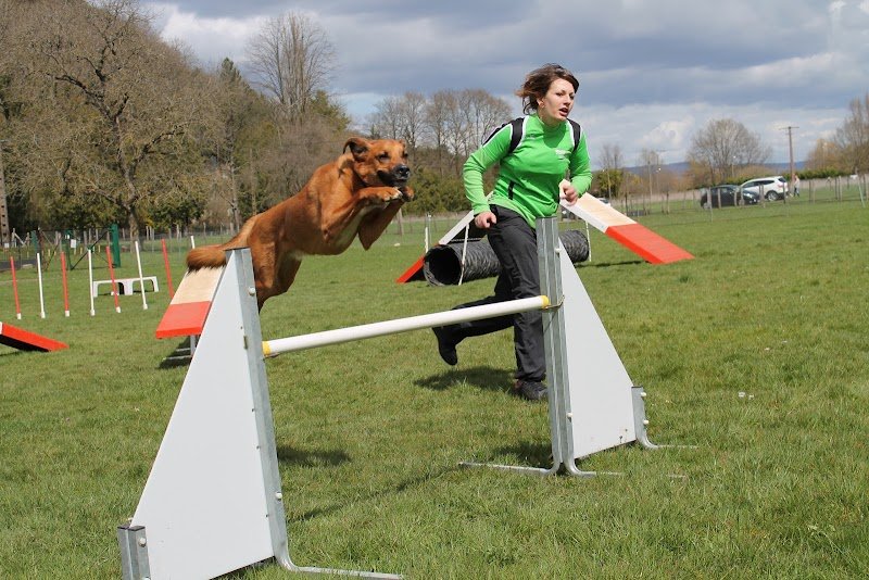 Besançon Club Canin - photo 3