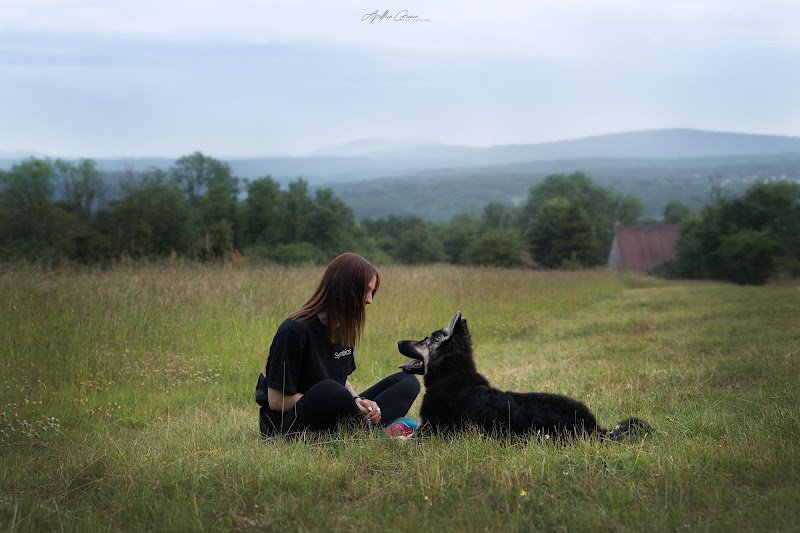 Symbiose - Sarah Bonnefoy - Educateur canin comportementaliste