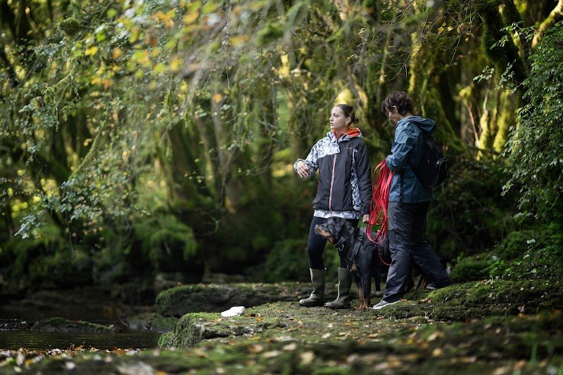 Symbiose - Sarah Bonnefoy - Educateur canin comportementaliste - photo 2