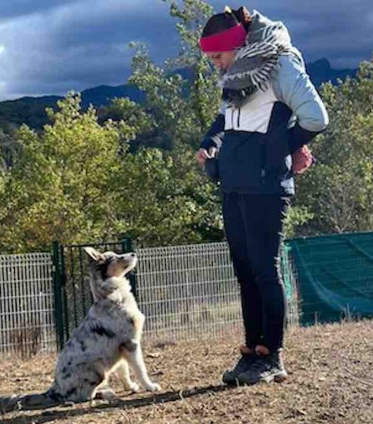 Symbiose - Sarah Bonnefoy - Educateur canin comportementaliste - photo 3