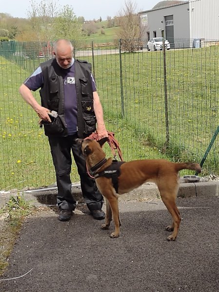 Au Bon Chien - photo 2