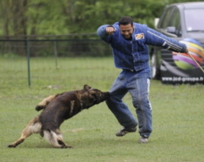 Centre Canin de Chemaudin