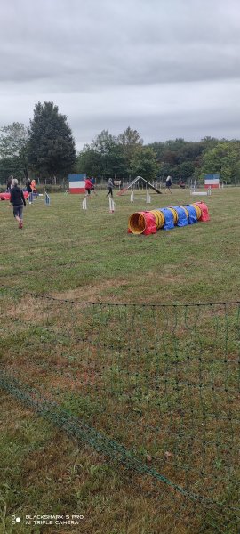 Centre Canin de Chemaudin - photo 2