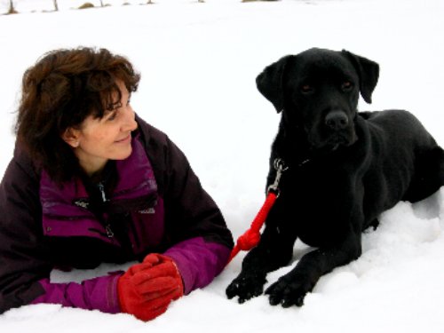 L'empreinte canine - photo 1