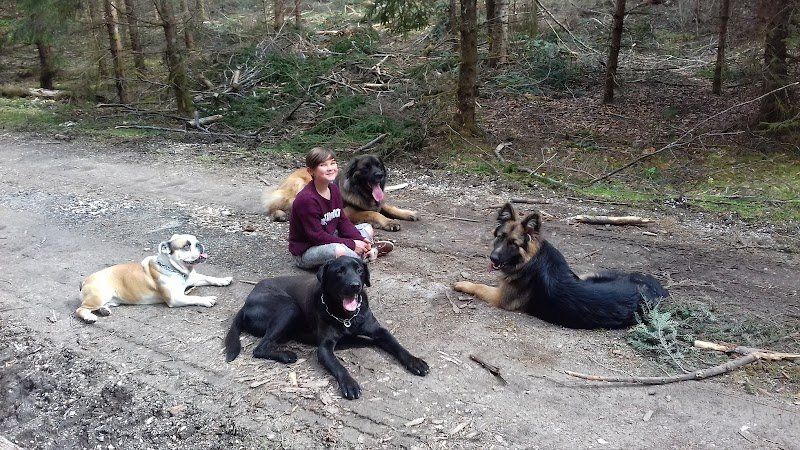 L'empreinte canine - photo 2