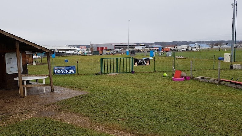 CLUB CANIN PONTISSALIEN - photo 1