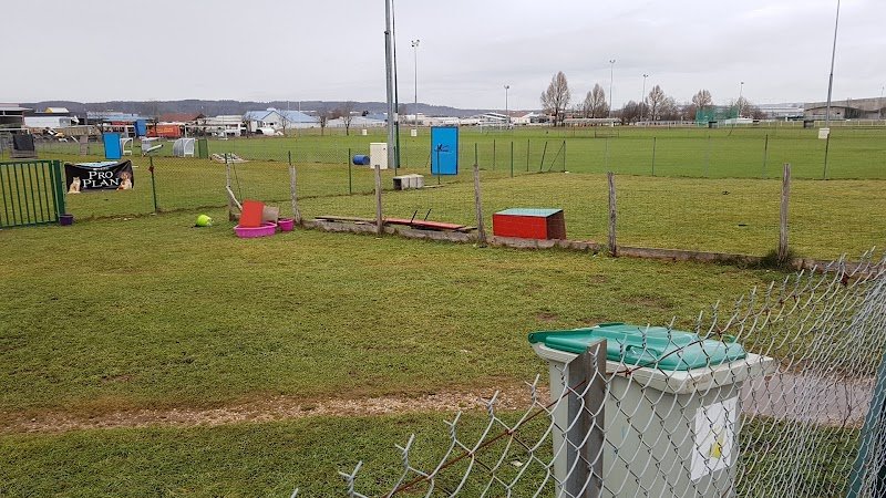 CLUB CANIN PONTISSALIEN - photo 2