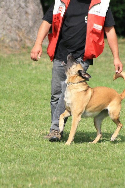 Club d'Education Canine de Valentigney - photo 3