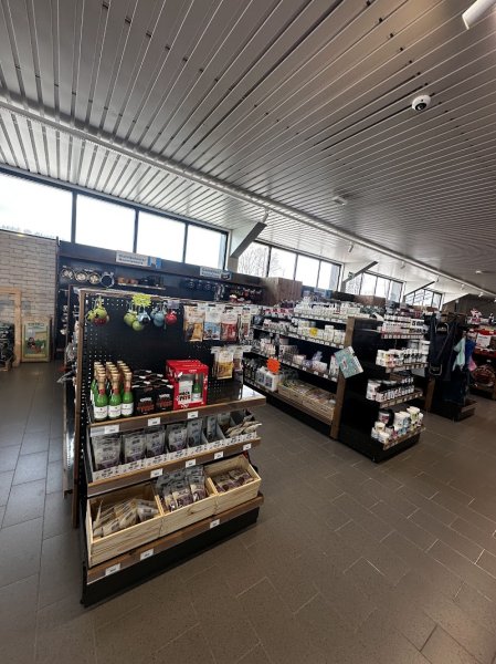 L'esprit Chien - photo 3