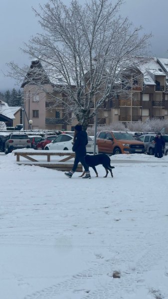 Éducation canine du Chalet du Mont d'or - photo 2