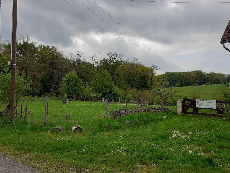 EC Chiens - Educateur Comportementaliste Canin dans le Doubs - photo 2