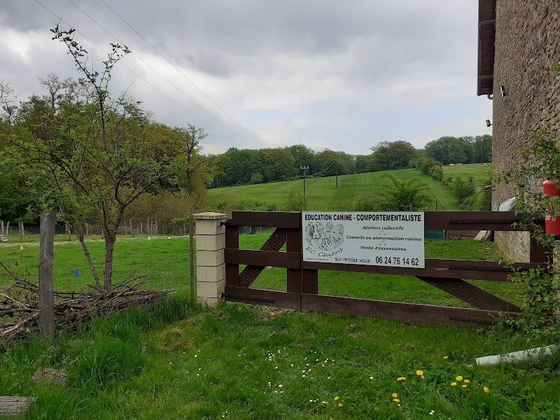 EC Chiens - Educateur Comportementaliste Canin dans le Doubs - photo 3