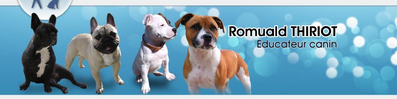 Educ'Services Romuald Thiriot - Pension canine Doubs - photo 1